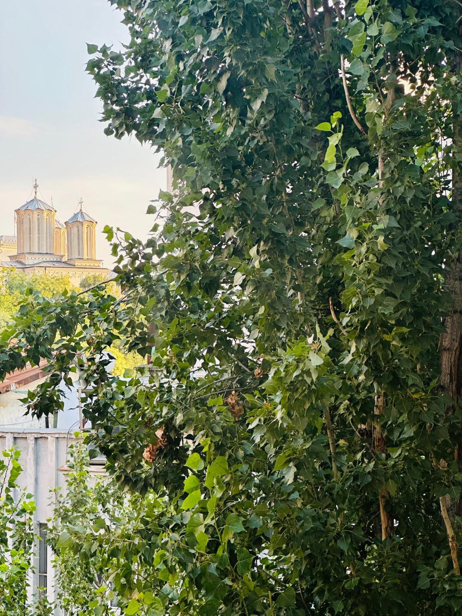 Tranquil Unirii Residence - Elegant & Spacious Living With Parking Steps From Parliament Bucarest Extérieur photo